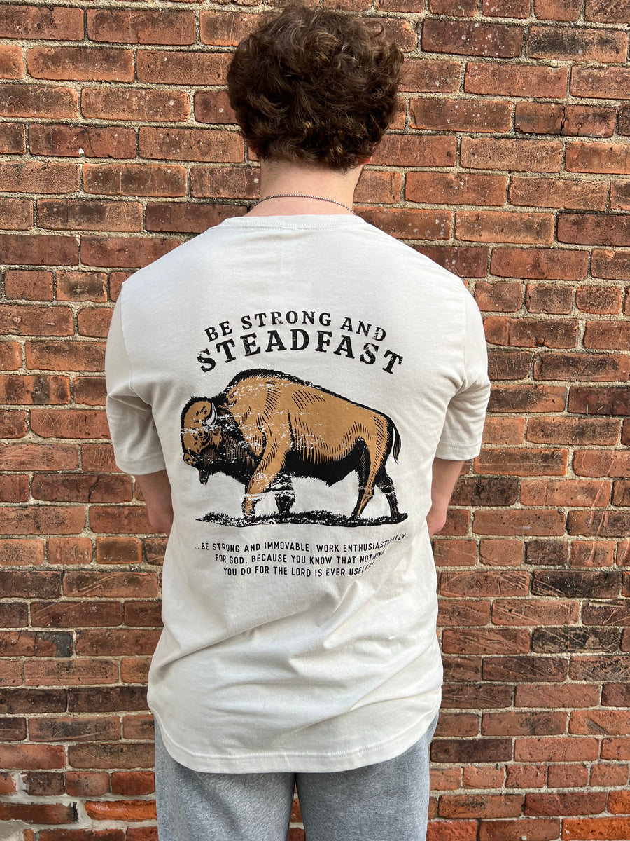 Be Strong and Steadfast Tee